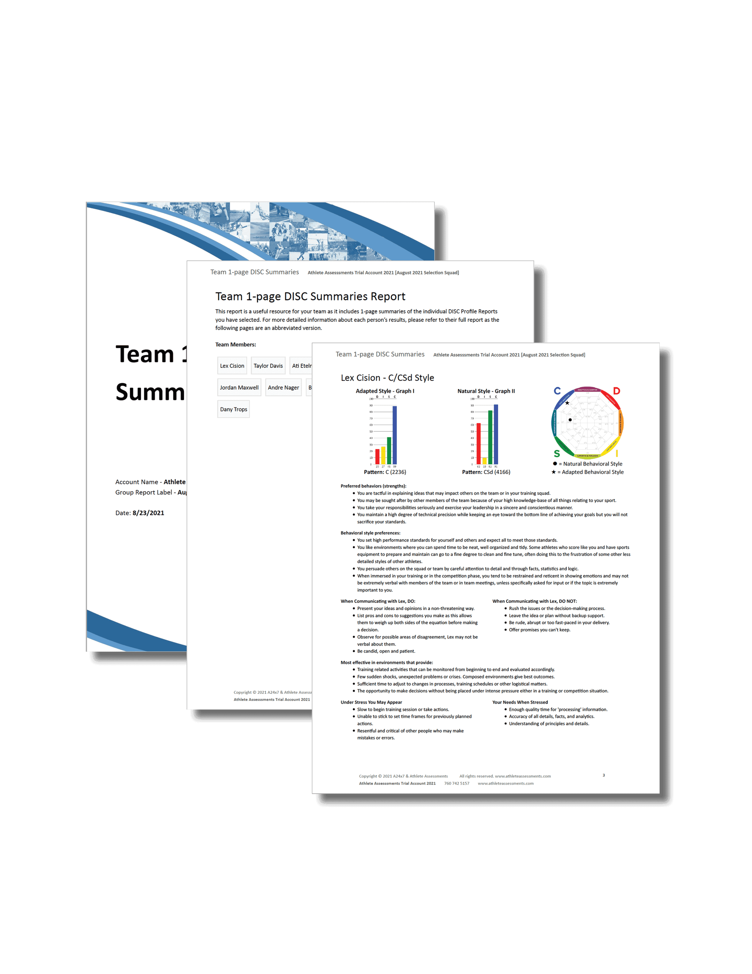 DISC Report 1-page summary