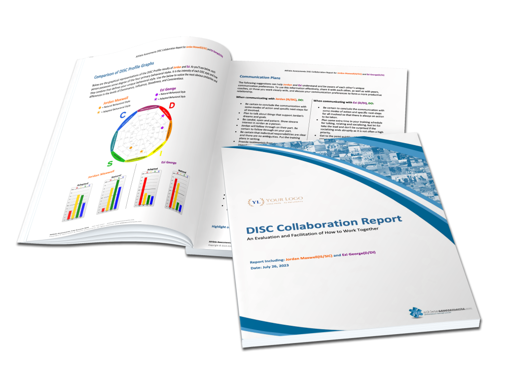 DISC Collaboration Report